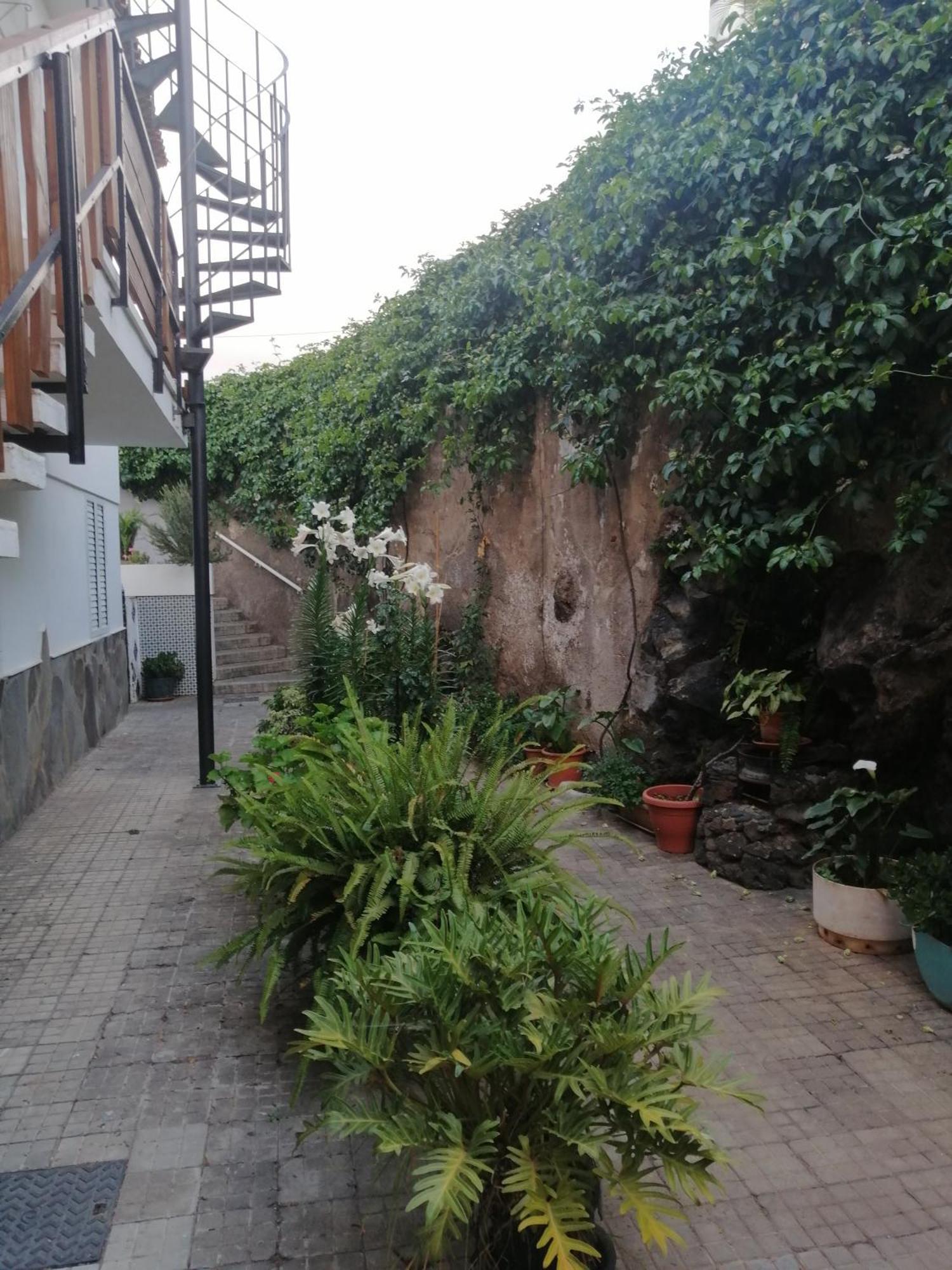 Puerto De La Cruz - Sun House - Holidays - Resort Zewnętrze zdjęcie